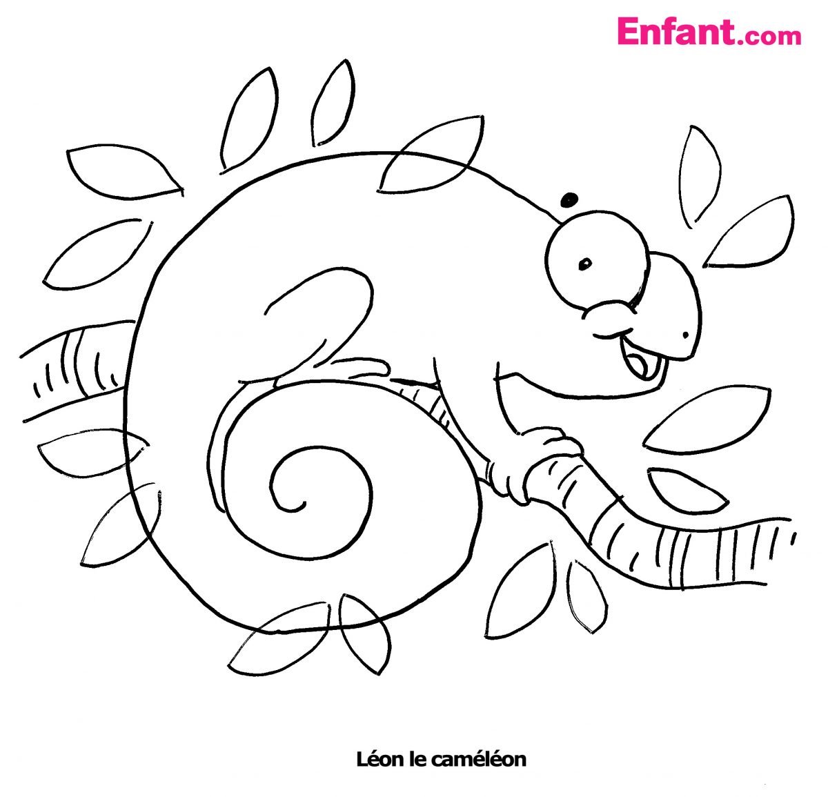 Coloriage Caméléon #1418 (Animaux) - Album De Coloriages à Coloriage Cameleon