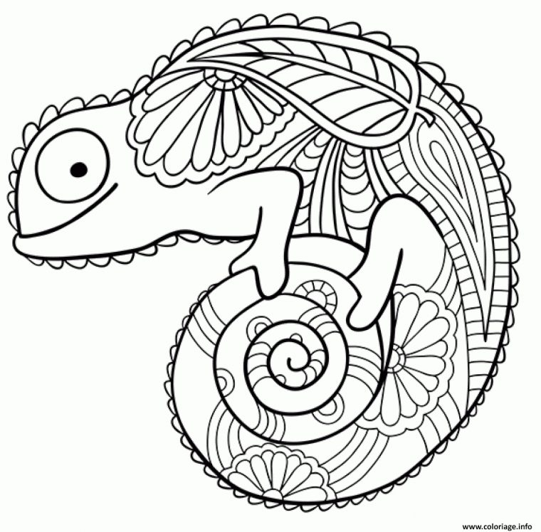 Coloriage Cameleon Animal De La Jungle Dans Une Foret Tropicale Dessin avec Coloriage De Foret A Imprimer