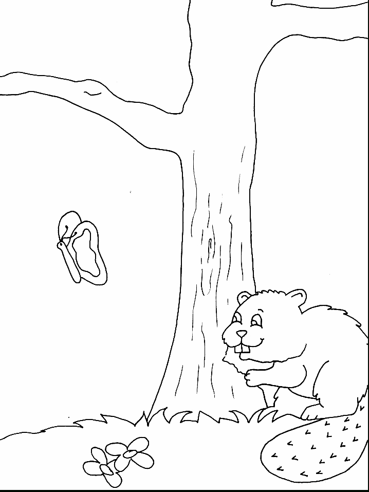 Coloriage Castor #1629 (Animaux) - Album De Coloriages concernant Castor Dessin 