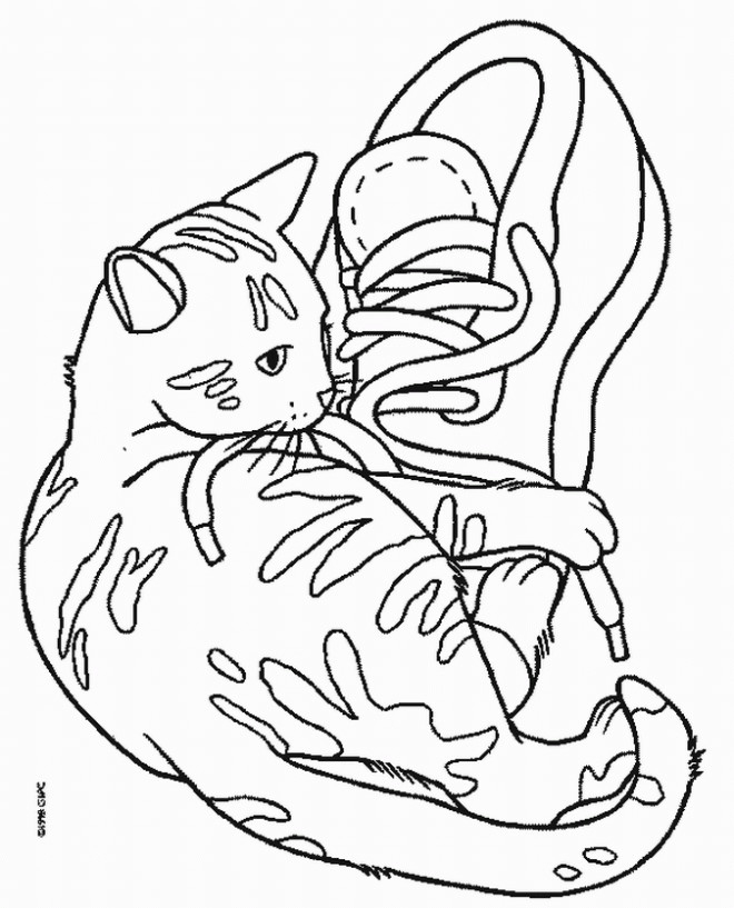 Coloriage Chat Mignon Joue Avec Les Chaussures Dessin Gratuit À Imprimer intérieur Coloriage De Chat À Imprimer