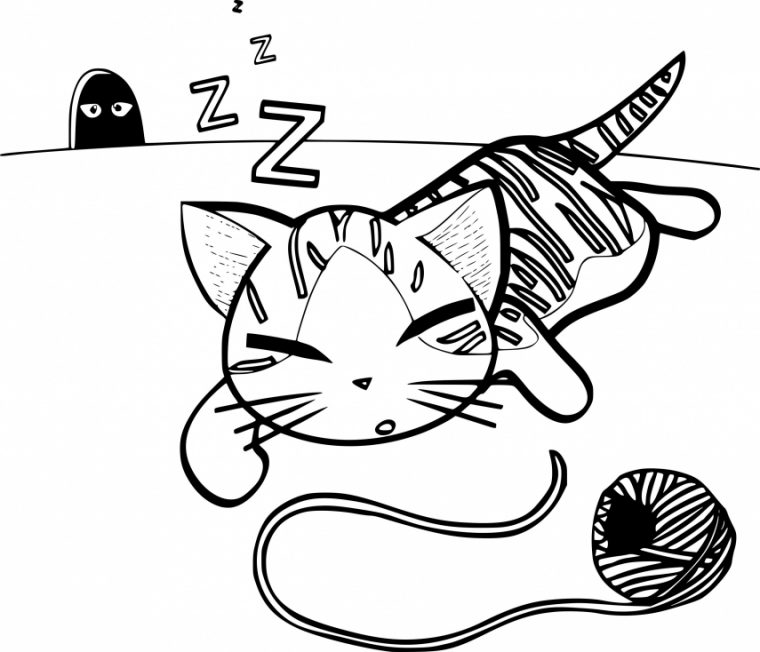 Coloriage Chaton Qui Dort À Imprimer Sur Coloriages pour Dessin A Colorier De Chat