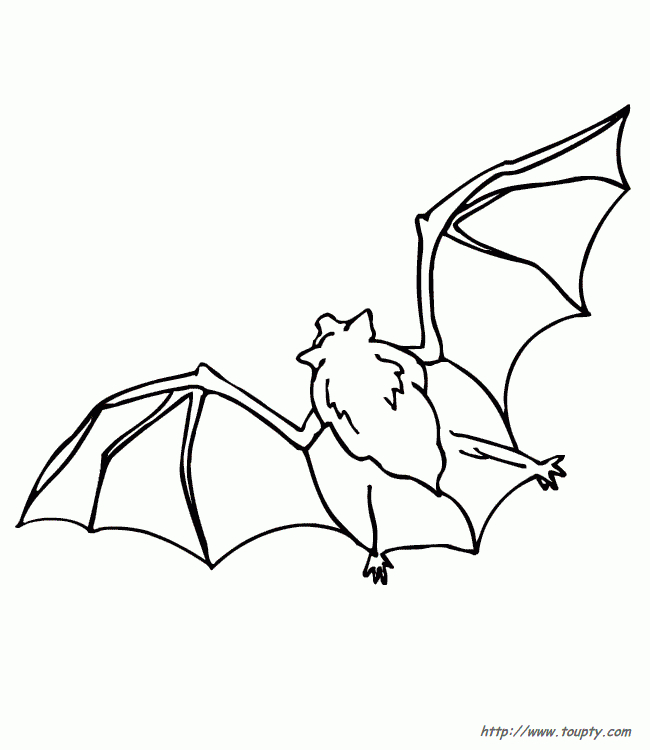 Coloriage Chauve-Souris À Imprimer Pour Les Enfants - Cp07131 avec Coloriage De Chauve Souris 