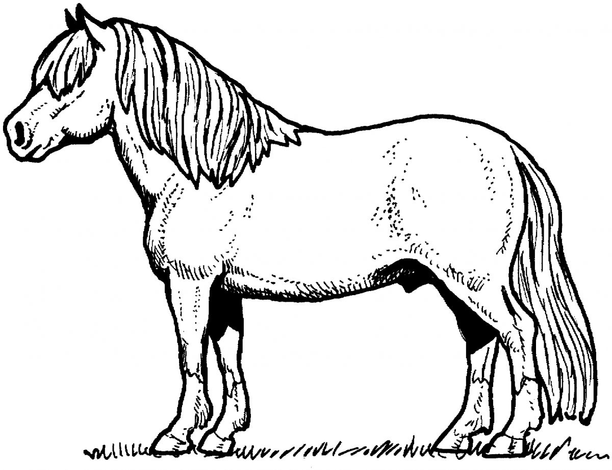 Coloriage Cheval #2162 (Animaux) - Album De Coloriages avec Cheval En Dessin