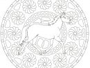 Coloriage Cheval Fleurs Mandala Sur Ludinet.fr concernant Mandala Cheval