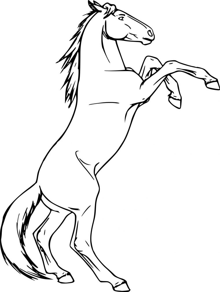 Coloriage Chevaux Qui Saute Unique Image Coloriage Cheval Qui Se Cabre avec Dessin Cheval À Colorier