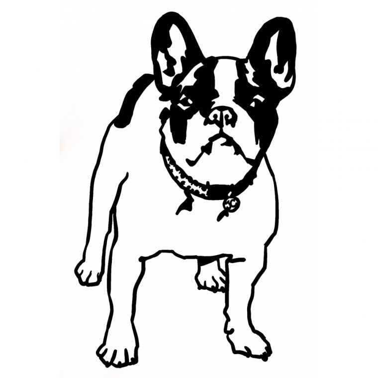 Coloriage Chien Bouledogue À Imprimer pour Coloriage Chien