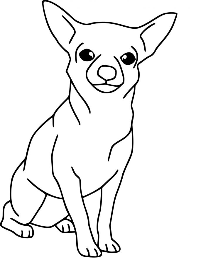 Coloriage Chien Chihuahua À Imprimer avec Chien A Imprimer Gratuitement