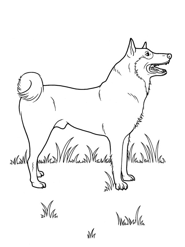 Coloriage Chien Heureux À Imprimer pour Chien À Colorier Et Imprimer