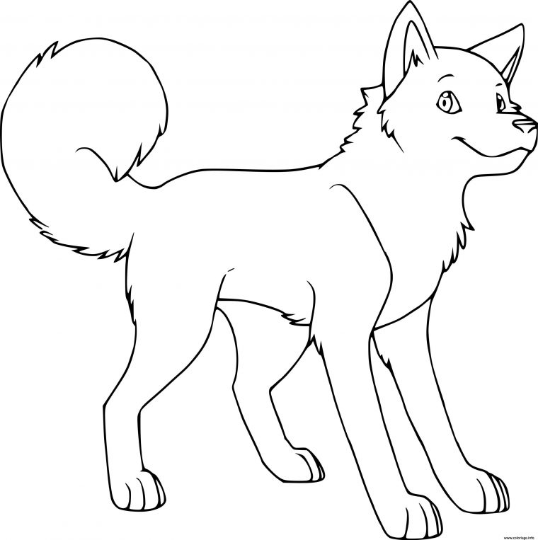 Coloriage Chien Husky Adorable Dessin Chien À Imprimer dedans Coloriage Chat Et Chien A Imprimer