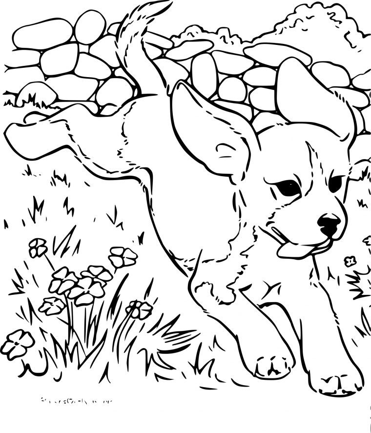 Coloriage Chien Qui Saute À Imprimer Sur Coloriages intérieur Coloriage Chien