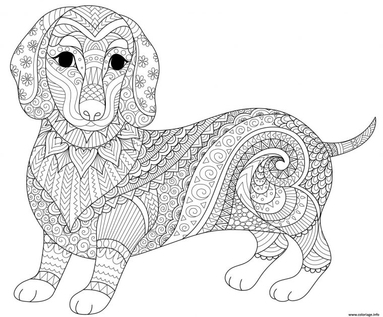 Coloriage Chien Saucisse Dachshund Teckel Mandala Animaux Dessin Adulte à Coloriage D Animaux A Imprimer