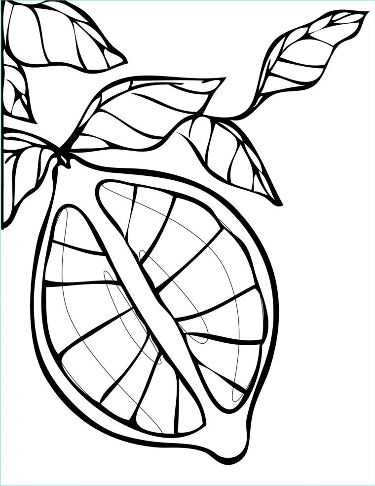 Coloriage Citron Beau Photos Coloriage Citron Dessin À Imprimer Sur encequiconcerne Coloriage Citron