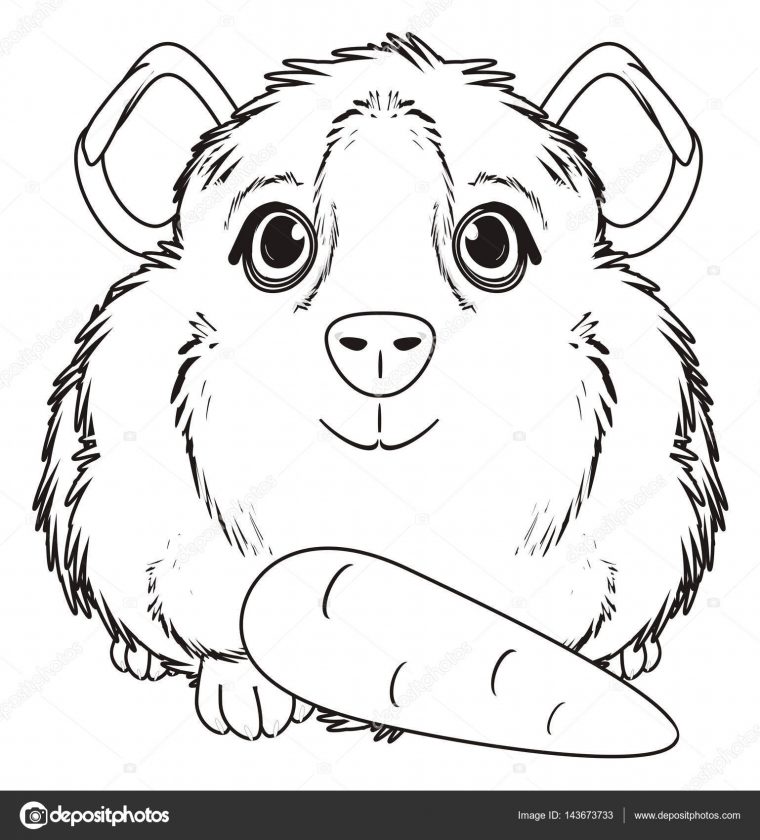 Coloriage Cochon D'Inde — Photographie Tatty77Tatty © #143673733 encequiconcerne Coloriage De Cochon