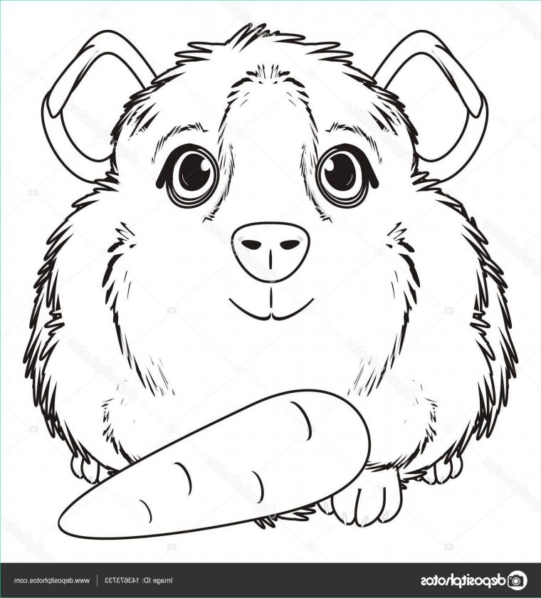 Coloriage Cochon D'Inde Unique Photos Coloriage Cochon D'Inde — Graphie à Coloriage Cochon D Inde À Imprimer