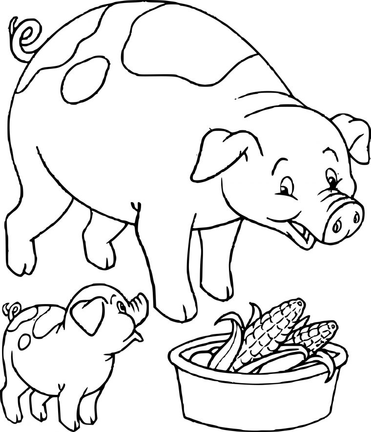 Coloriage Cochon Et Son Petit À Imprimer Sur Coloriages destiné Coloriage Cochon D Inde À Imprimer