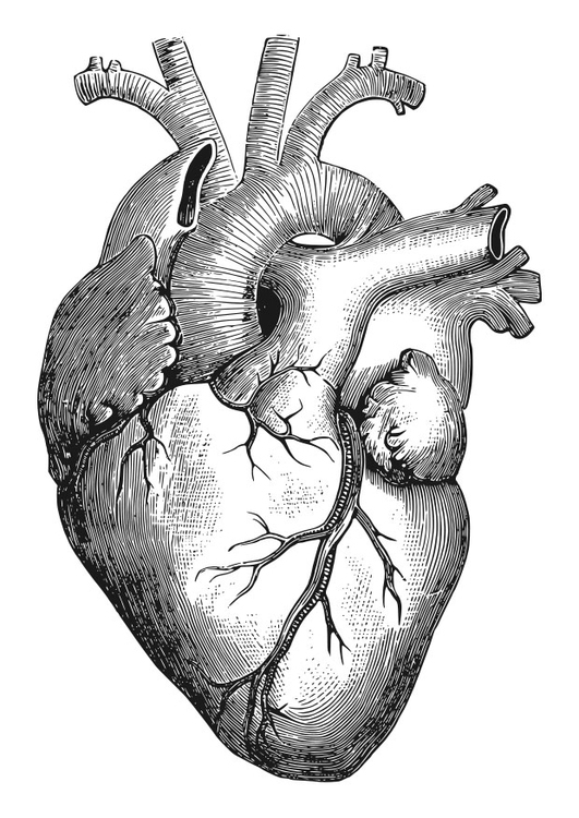 Coloriage Coeur – Coloriages Gratuits À Imprimer – Dessin 27911 encequiconcerne Coeur Dessin