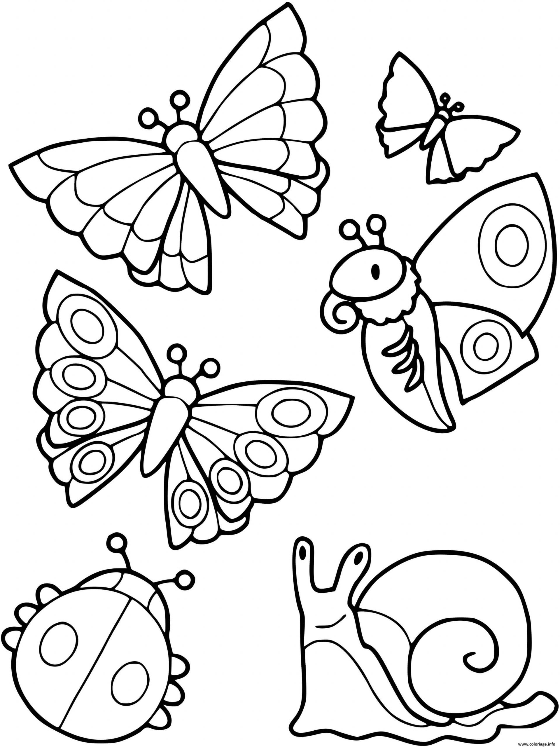 Coloriage Collection De Petites Betes Escargot Papillon Coccinelle encequiconcerne Coloriage De Papillon À Imprimer 