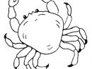 Coloriage Crabe #4777 (Animaux) - Album De Coloriages serapportantà Photo De Crabe A Imprimer