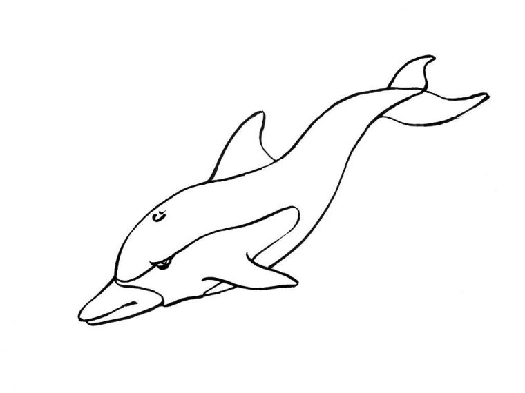 Coloriage Dauphin 8 – Coloriage Dauphins – Coloriages Animaux encequiconcerne Coloriage De Dauphin