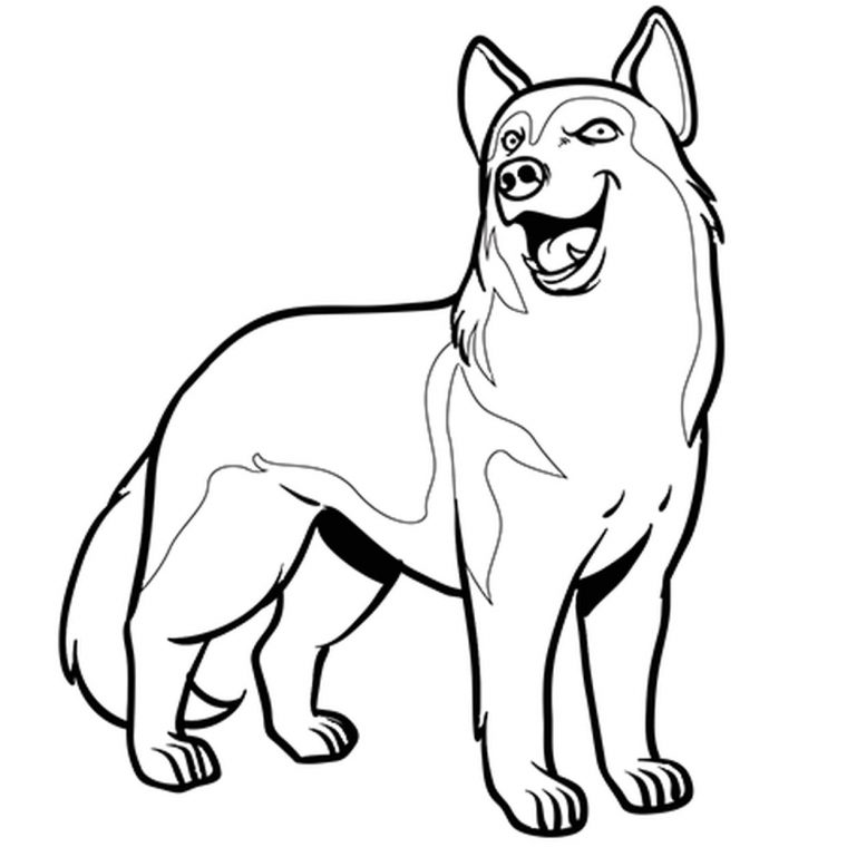 Coloriage De Chien Husky tout Coloriage De Chiens