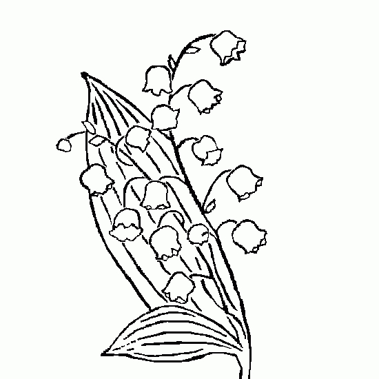 Coloriage De Muguet – Coloriages De Muguet À Imprimer dedans Coloriage Muguet A Imprimer