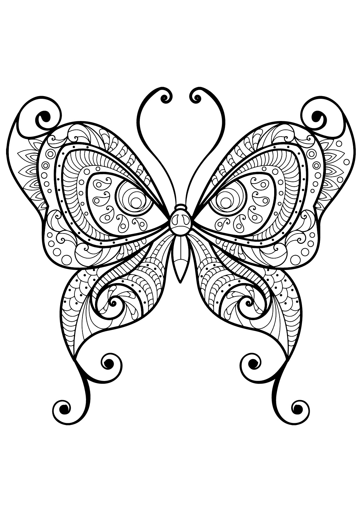 Coloriage De Papillons Pour Enfants - Coloriage De Papillons concernant Coloriage Papillon