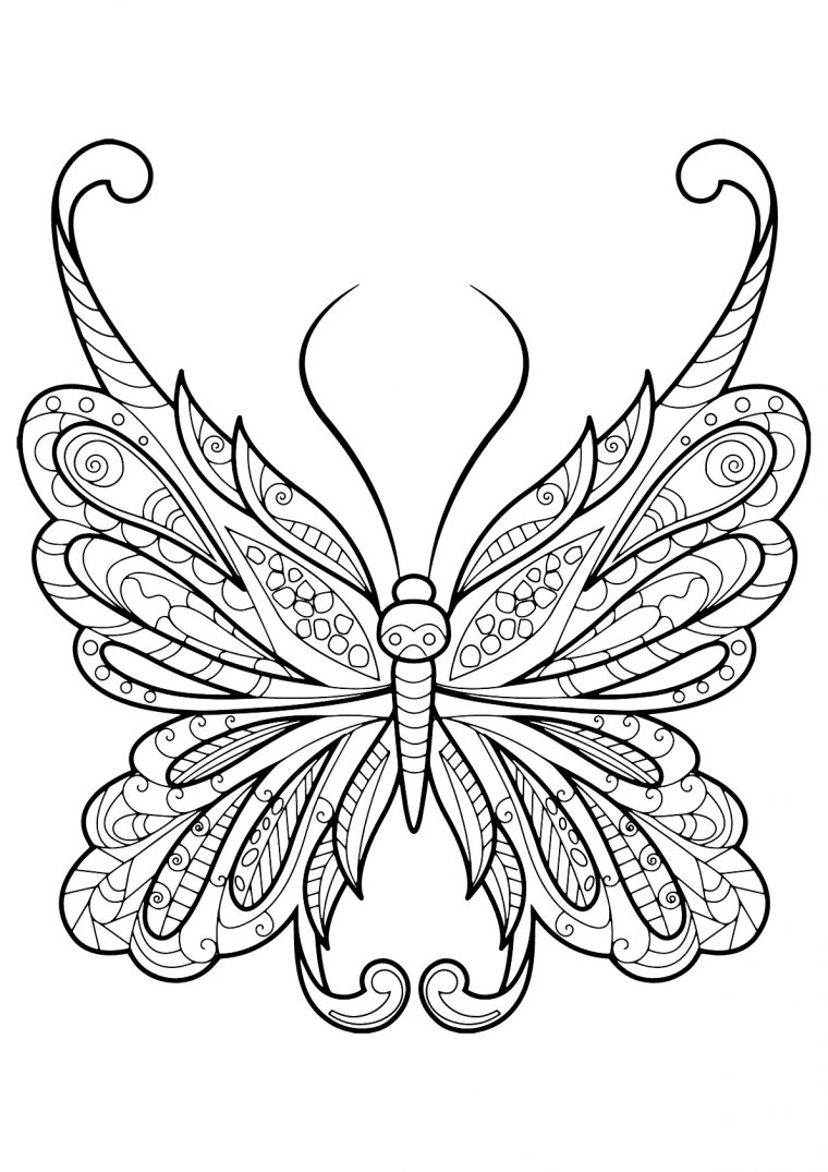 Coloriage De Papillons Pour Enfants – Coloriage De Papillons pour Photo De Papillon A Imprimer