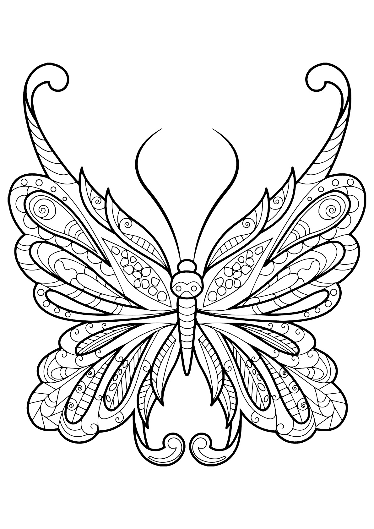 Coloriage De Papillons Pour Enfants - Coloriage De Papillons pour Photo De Papillon A Imprimer
