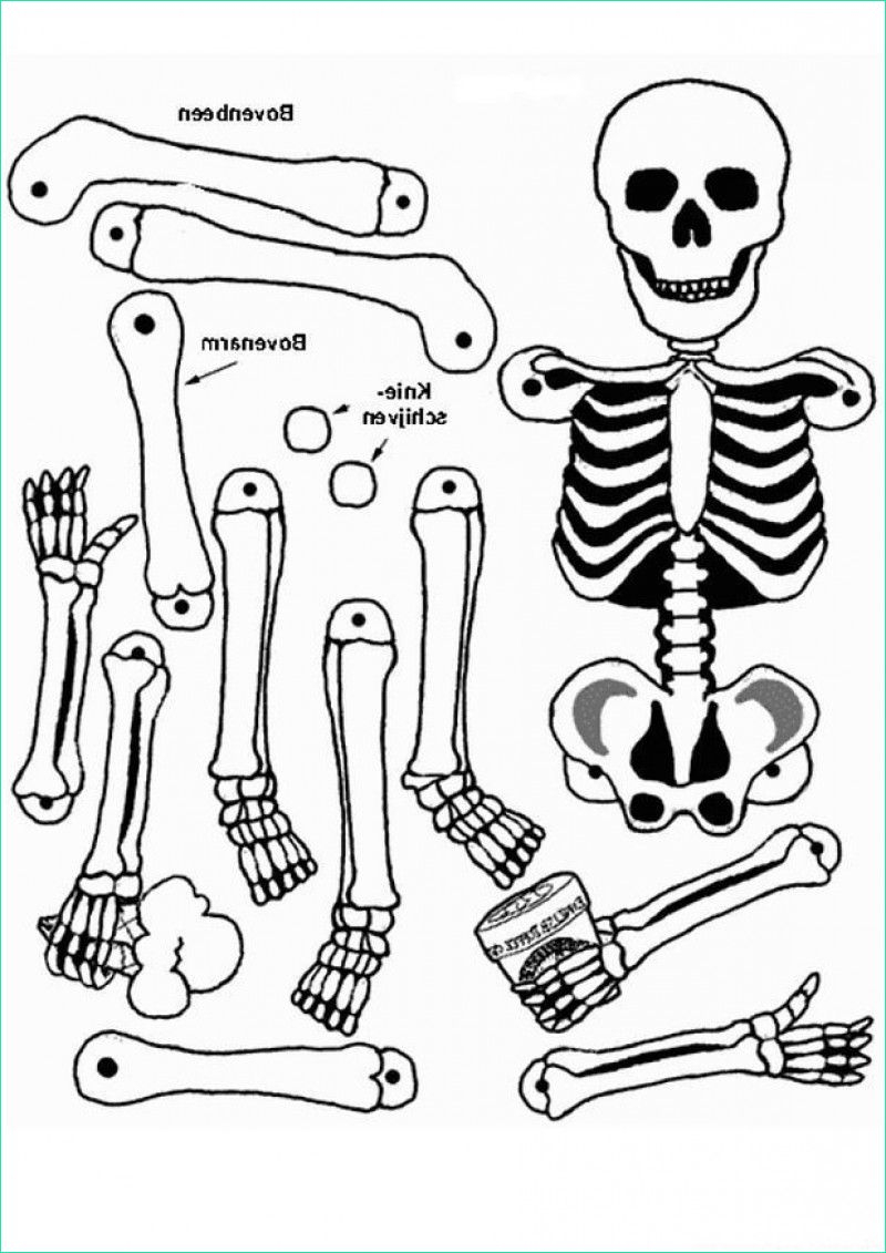Coloriage De Squelette Beau Images Coloriage Squelette 09 Avec Tête À concernant Coloriage Squelette 