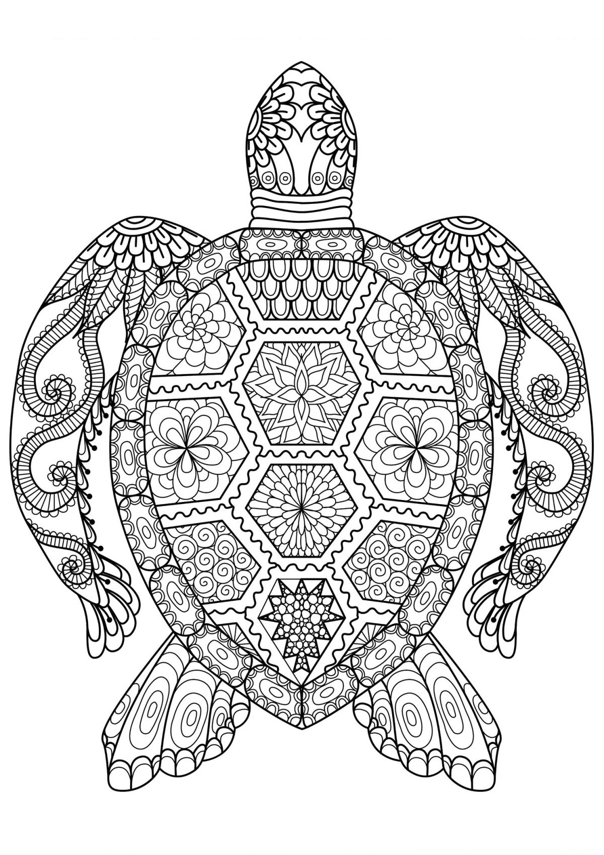 Coloriage De Tortue À Imprimer Gratuitement  Moncoloriage.fr encequiconcerne Tortue A Imprimer