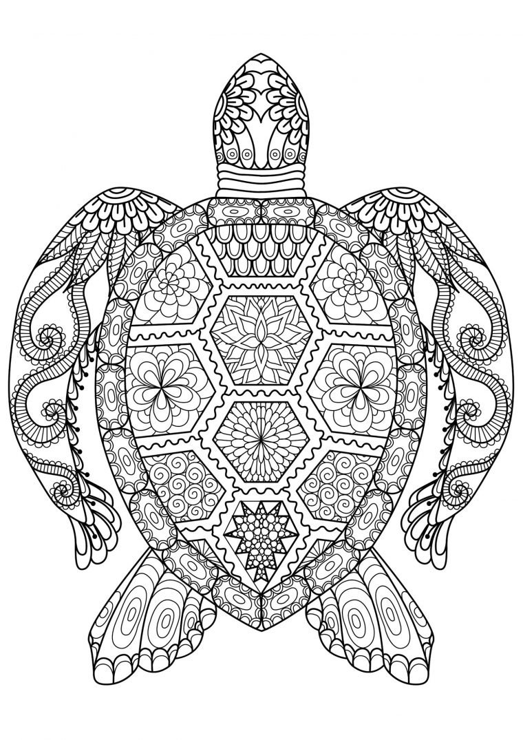 Coloriage De Tortue À Imprimer Gratuitement  Moncoloriage.fr encequiconcerne Tortue A Imprimer