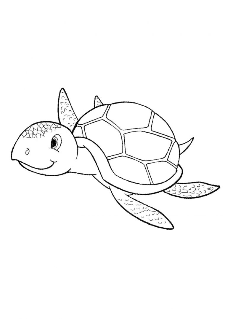 Coloriage De Tortue À Imprimer Gratuitement  Moncoloriage.fr intérieur Dessin De Sanglier À Imprimer