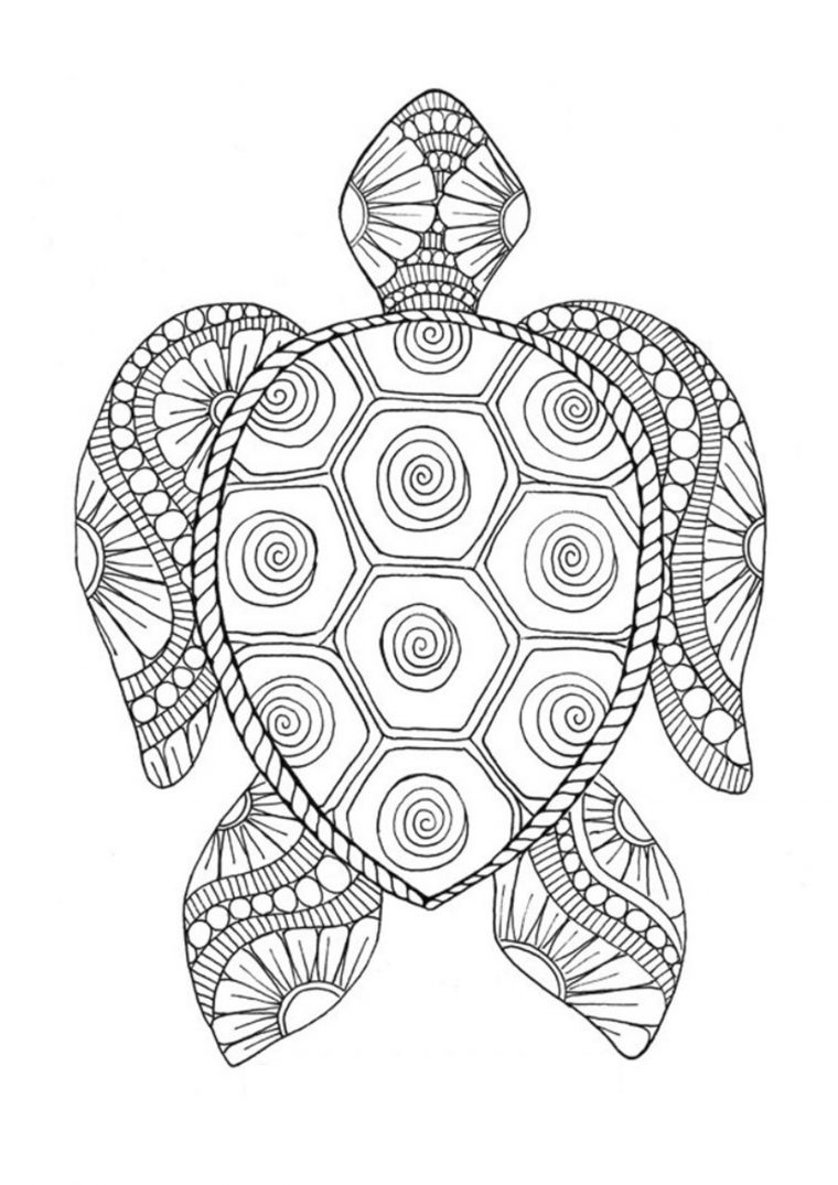 Coloriage De Tortue À Imprimer Gratuitement  Moncoloriage.fr tout Tortue A Imprimer