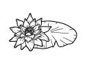 Coloriage De Une Fleur De Lotus Pour Colorier - Coloritou avec Dessin Fleur De Lotus A Imprimer