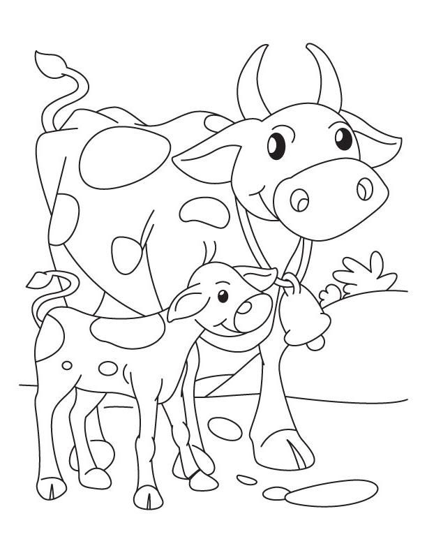 Coloriage De Vache Et Veau A Imprimer concernant Dessin De Vache À Imprimer