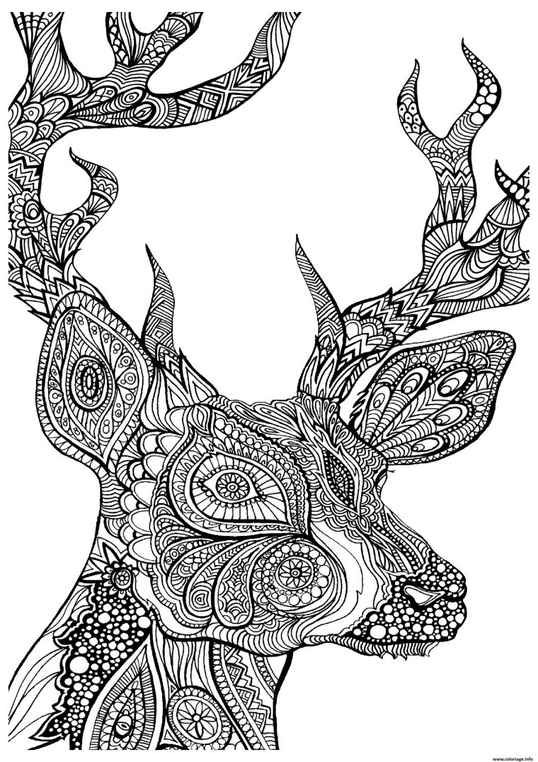 Coloriage Difficile Cerf Zoom Dessin Adulte Animaux À Imprimer encequiconcerne Coloriage A Imprimer