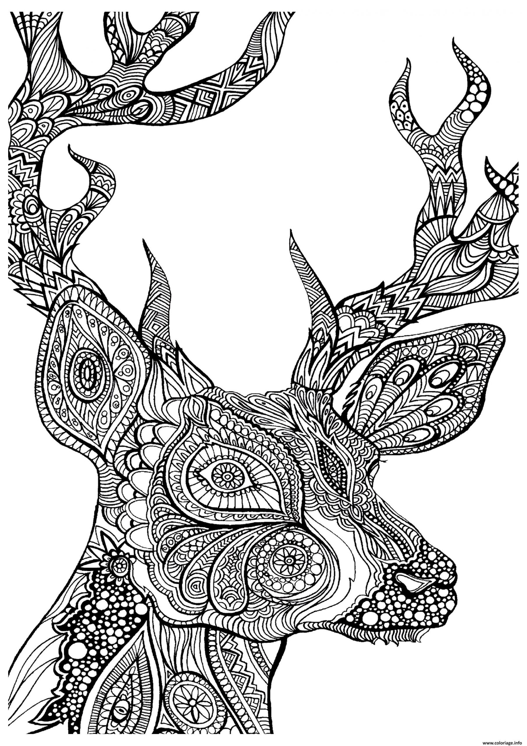 Coloriage Difficile Cerf Zoom Dessin Adulte Animaux À Imprimer encequiconcerne Coloriage A Imprimer 