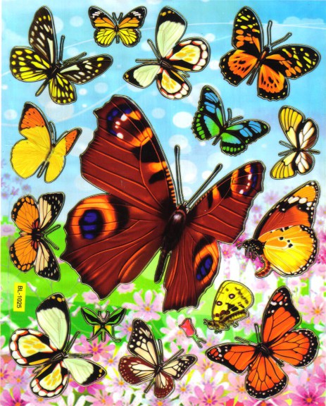 Coloriage Difficile Papillon À Imprimer destiné Photo De Papillon A Imprimer