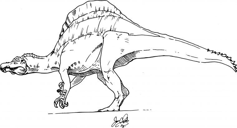 Coloriage Dinosaure Spinosaure À Imprimer Sur Coloriages destiné Dessin De Dinosaure