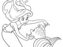 Coloriage Disney Princesse Ariel La Petite Sirene Dessin Princesse dedans Coloriage D Ariel