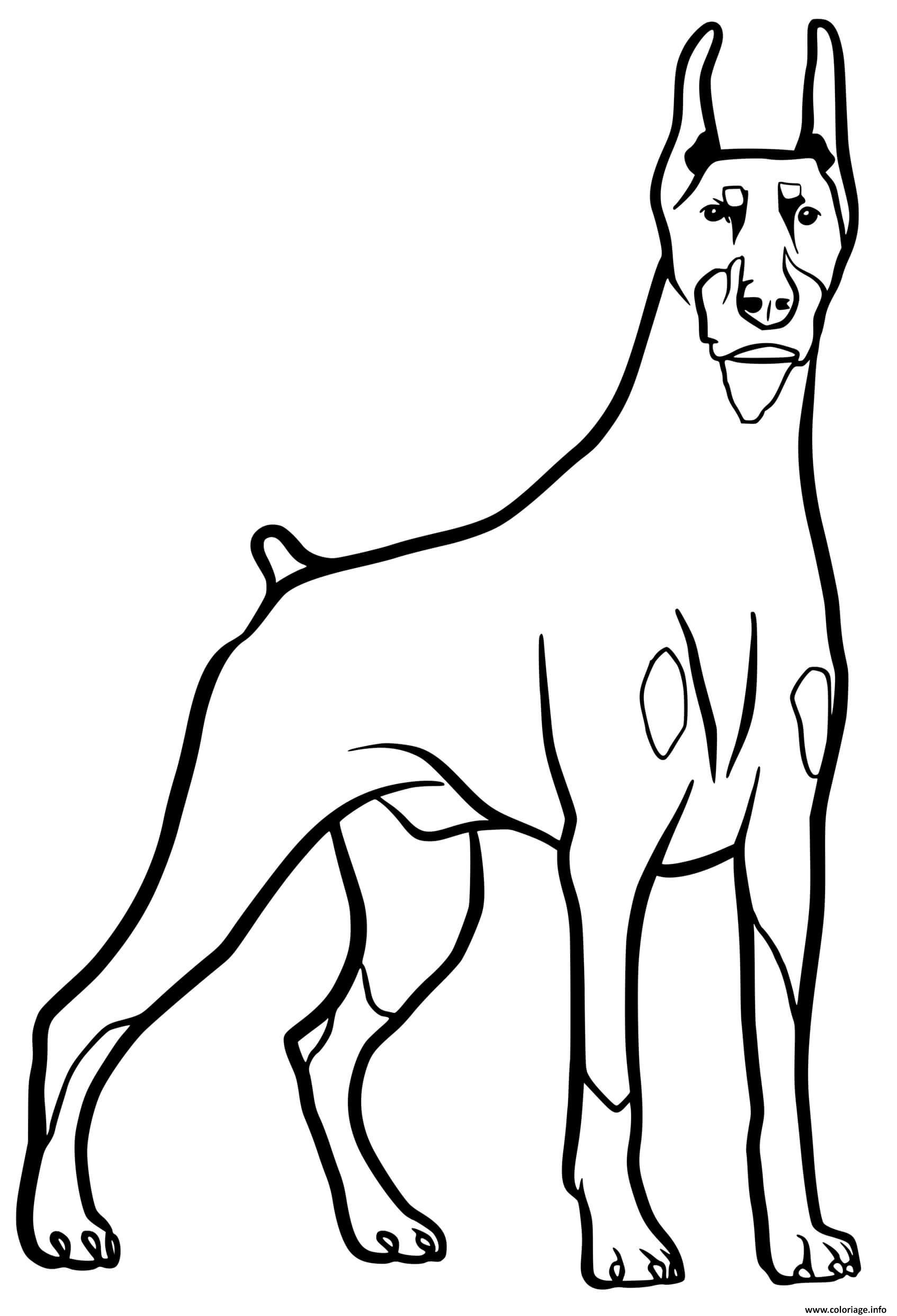 Coloriage Dobermann Dog Dessin Chien À Imprimer destiné Coloriage De Chiens 