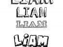 Coloriage Du Prénom Liam : À Imprimer Ou Télécharger Facilement concernant Dessin Prenom