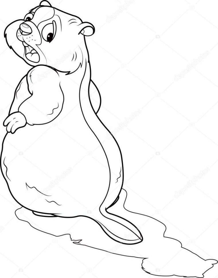 Coloriage D'Une Marmotte — Image Vectorielle Dazdraperma © #144825395 encequiconcerne Coloriage De Marmotte