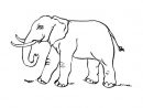 Coloriage Eléphant 11 - Coloriage Elephants - Coloriages Animaux dedans Coloriage Éléphant A Imprimer