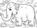 Coloriage Éléphant D'Asie - Coloriages Gratuits À Imprimer - Dessin 27861 à Éléphant À Colorier