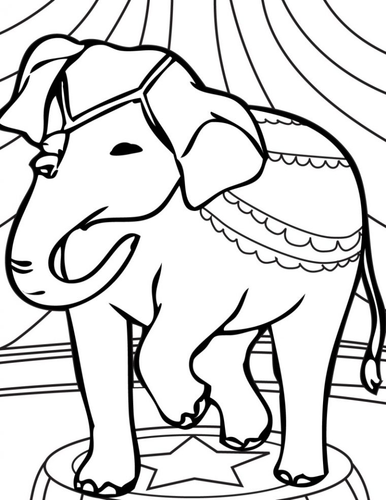 Coloriage Éléphant De Cirque À Imprimer destiné Éléphant À Colorier