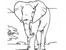Coloriage Éléphant En Afrique Dessin Gratuit À Imprimer concernant Coloriage Africain