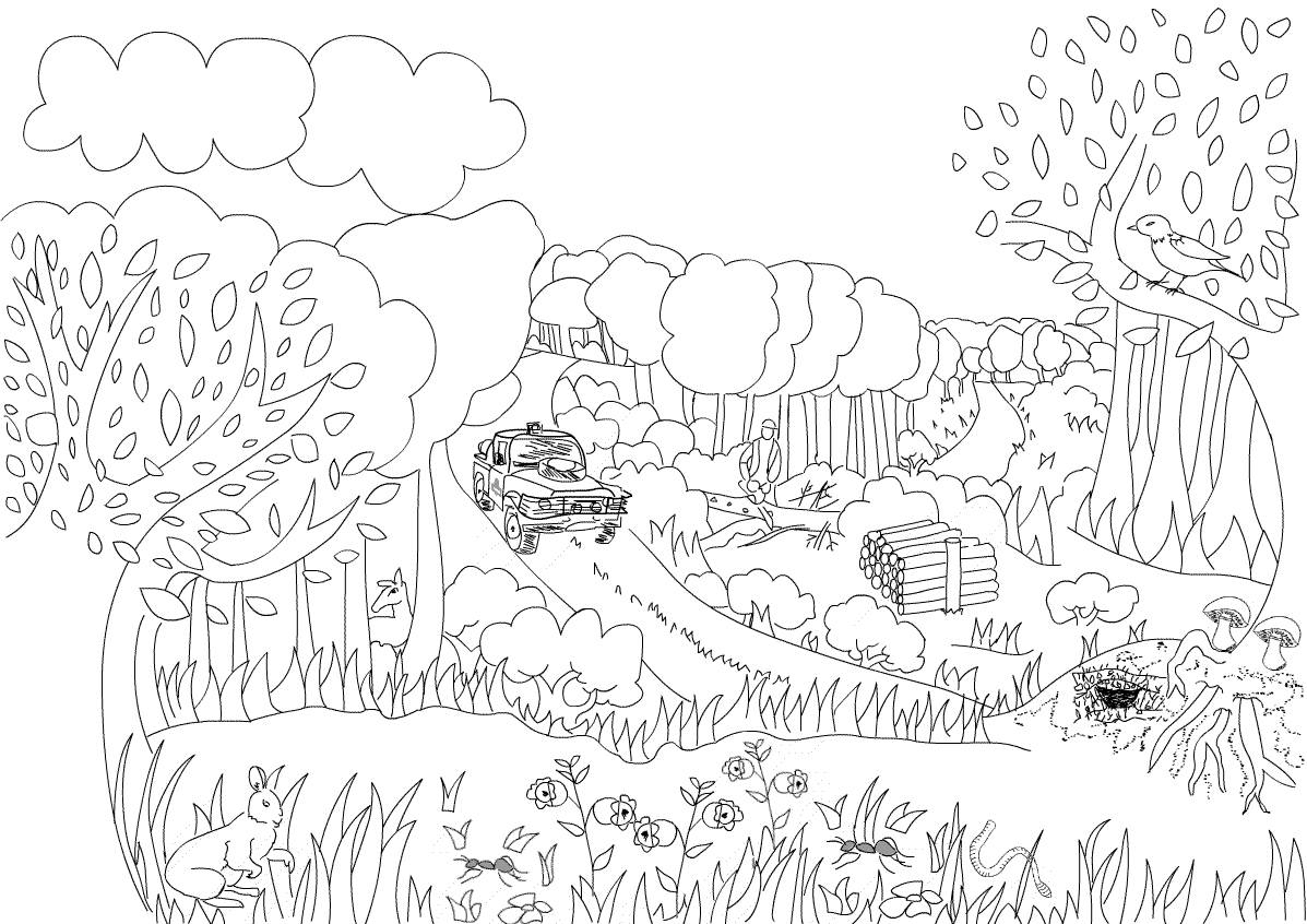 Coloriage En Ligne Paysage  Imprimer Et Obtenir Une Coloriage Gratuit Ici destiné Paysage De Montagne À Colorier 