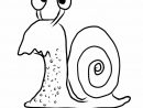 Coloriage Escargot : 20 Dessins À Imprimer Gratuitement pour Escargot Dessin