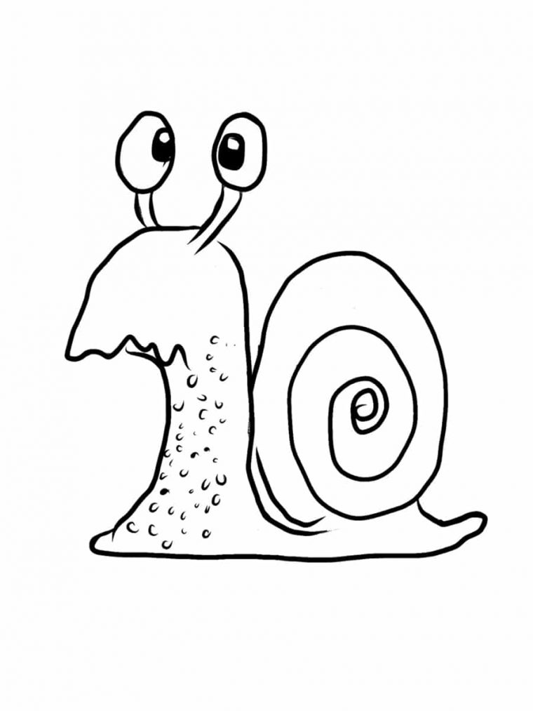 Coloriage Escargot : 20 Dessins À Imprimer Gratuitement pour Escargot Dessin